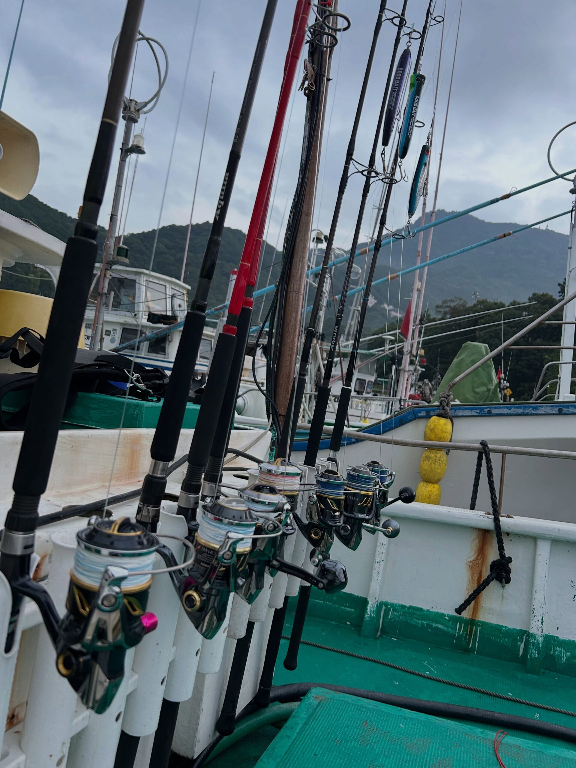 キハダマグロキャスティング便