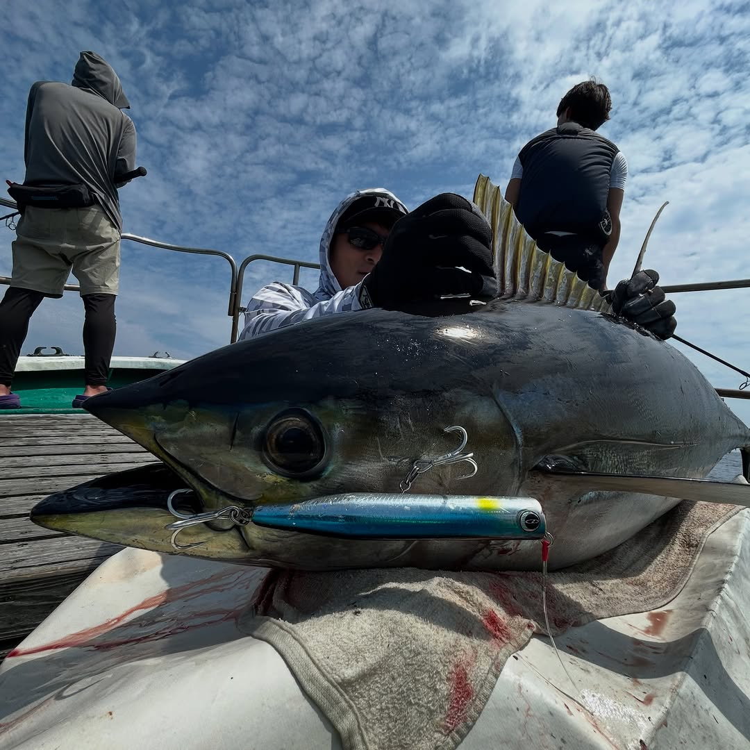 キハダマグロキャスティング便