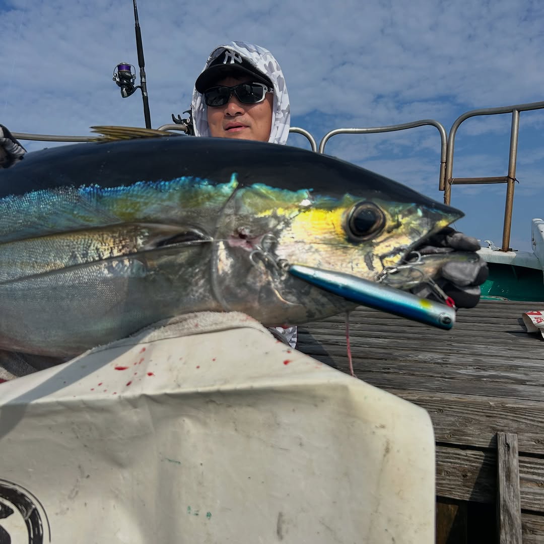 キハダマグロキャスティング便