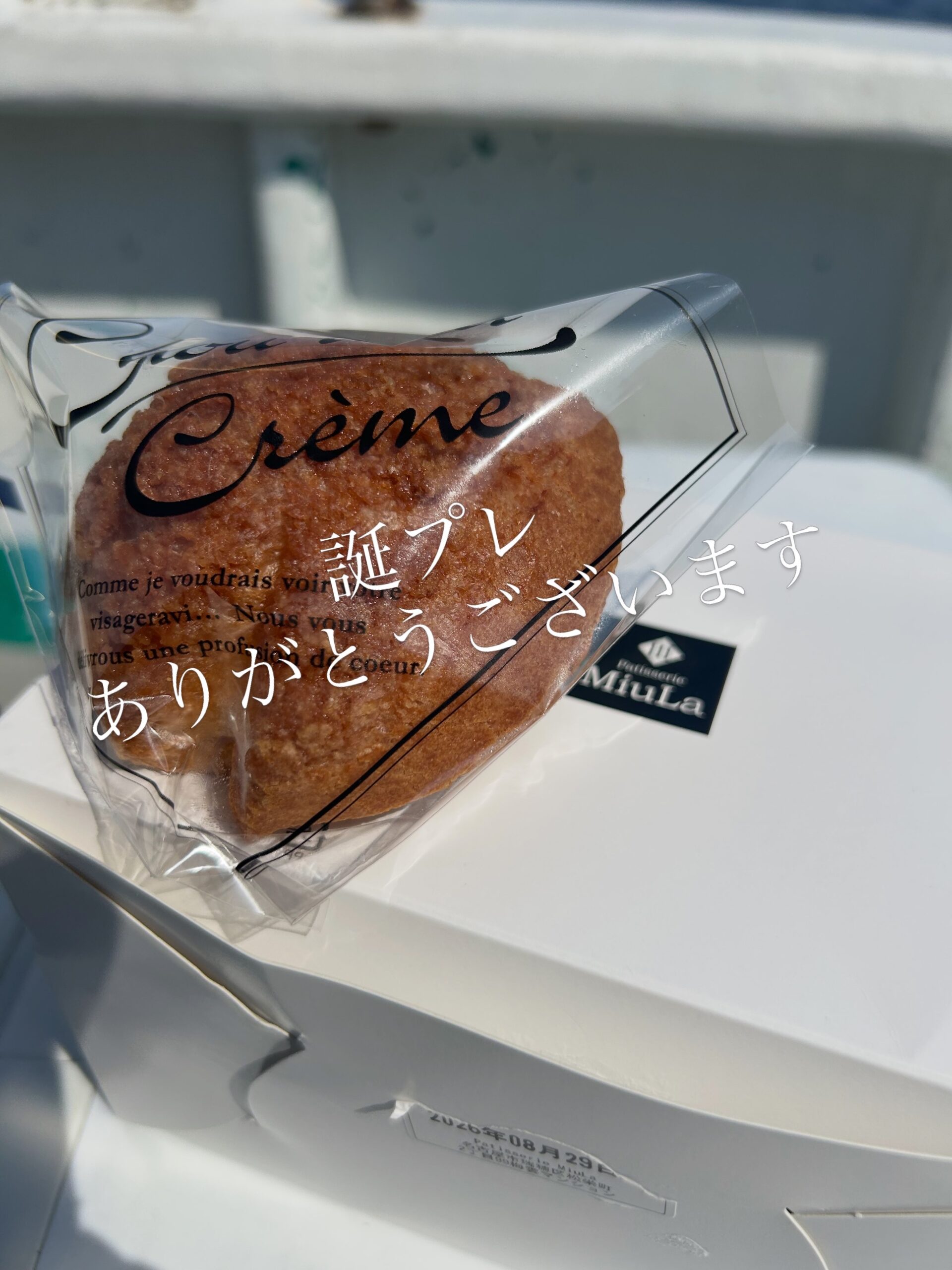 まだまだキハダ健在